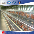 Automatic Poultry /Chicken Raising Equipment for Sale